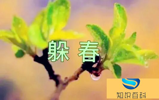 2023年打春什么属相需要躲春2