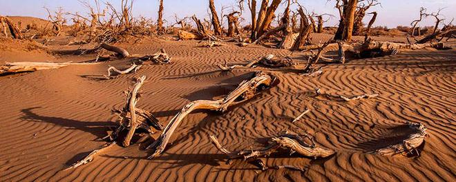 土地沙漠化有何危害 土地沙漠化的危害有哪些