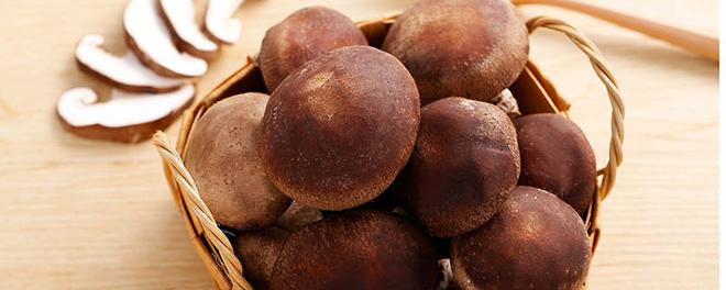 湿香菇放冰箱能保存多久 湿香菇放冰箱可以保存多久