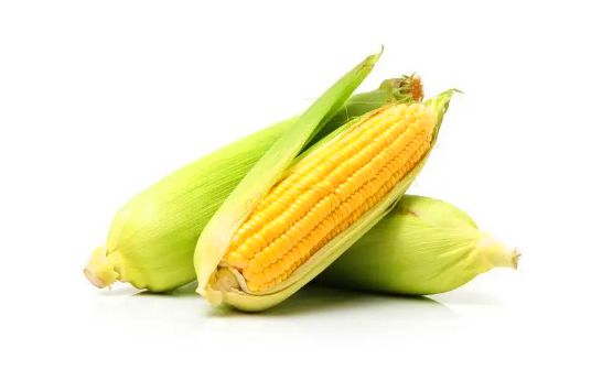 玉米是新鲜存放还是煮熟存放3