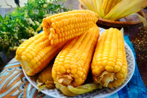 冻玉米是直接煮还是解冻3