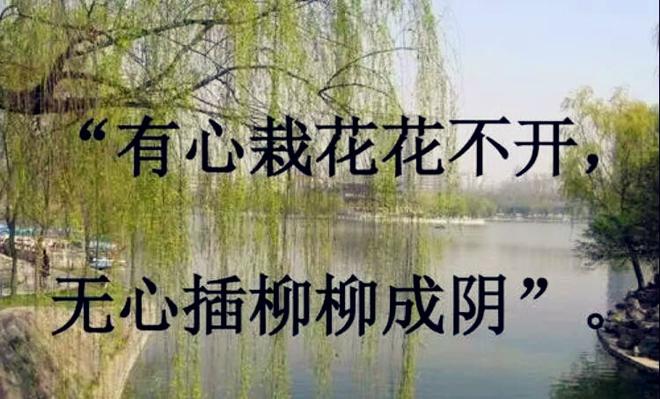 有心栽花花不开,无心插柳柳成荫