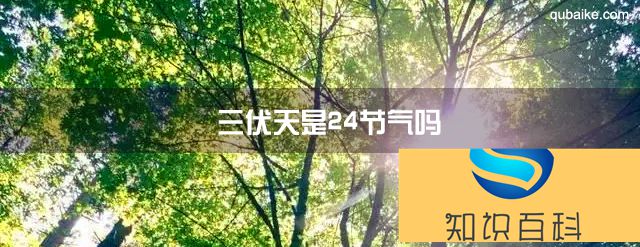 三伏天是24节气吗