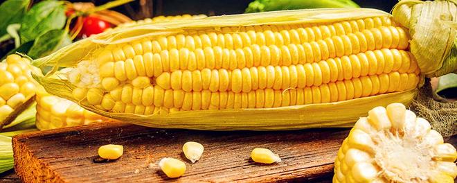 玉米煮多久就可以熟了 玉米通常煮多久就可以熟了