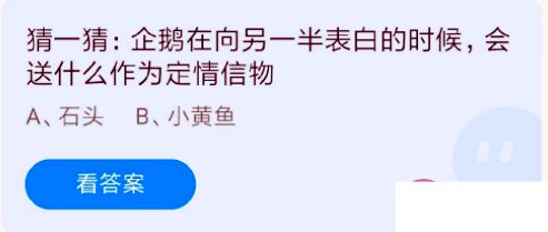 蚂蚁庄园企鹅在向另一半表白的时候会送什么作为定情信物 8月4日答案解析