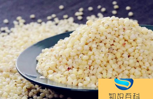 高粱米怎么吃最好吃做给儿童吃2