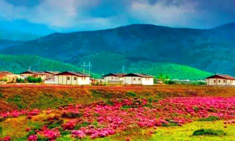 2022国庆去云南旅游要做核酸吗3