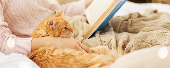 猫的寿命究竟是多少年 猫的寿命一般有几年