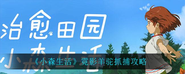 小森生活霓影羊驼怎样抓捕？