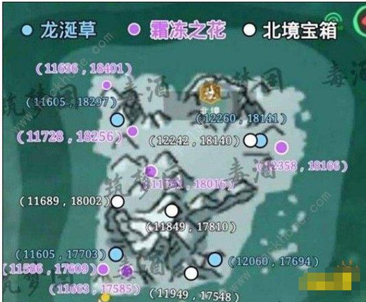 创造与魔法冰霜龙涎草分布在哪里？