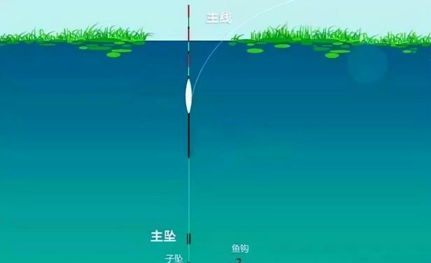 钓鱼道系是子线还是主线（道系钓线和子系钓线的区别与不同）