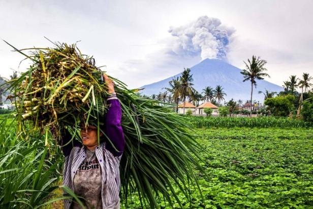 世界火山最多的洲是哪个洲（火山多为东北带来哪些好处和坏处）