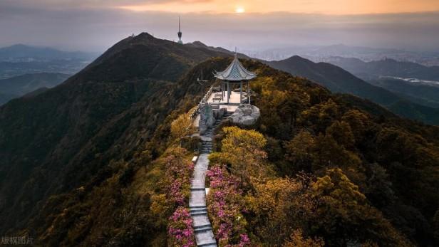 深圳旅游必去的十大地方推荐（盘点深圳最值得去的好玩景点）