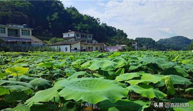 四川省宜宾哪里好玩的景点推荐？宜宾值得一去的旅游景点推荐