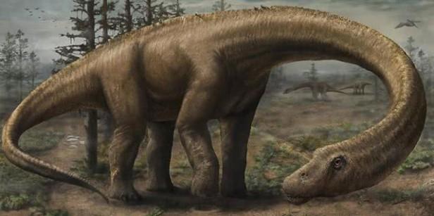 恐龙时代食草恐龙有哪些（侏罗纪世界食草恐龙介绍）