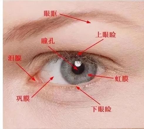 女人右眼跳发大财吗？那眼皮跳到底是怎么回事呢？