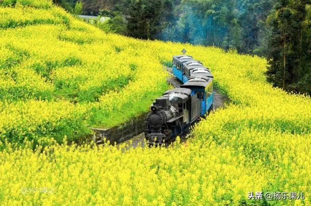 四川乐山景点有哪些地方（最好玩的乐山风景名胜区推荐）