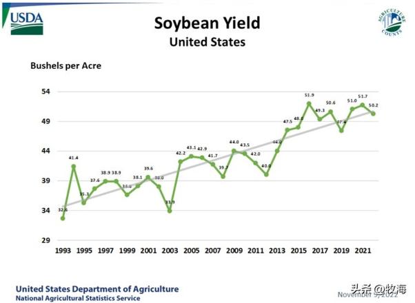 美国大豆亩产量一般多少斤？是中国大豆的1.6倍，为何差距这么大？