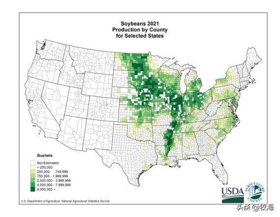 美国大豆亩产量一般多少斤？是中国大豆的1.6倍，为何差距这么大？
