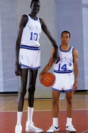 世界上最高的篮球运动员都有谁（盘点历史上最高的十位运动员）