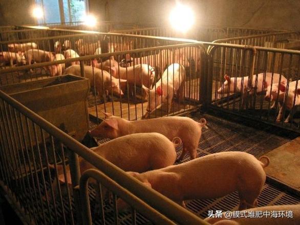 畜禽粪有机肥多少钱一吨最新价格（附设备清单和成本计算）