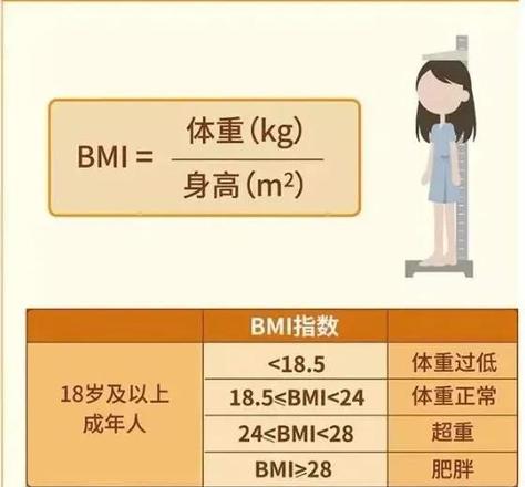 体重减肥对照表（2022标准体重对照表来了）(2)