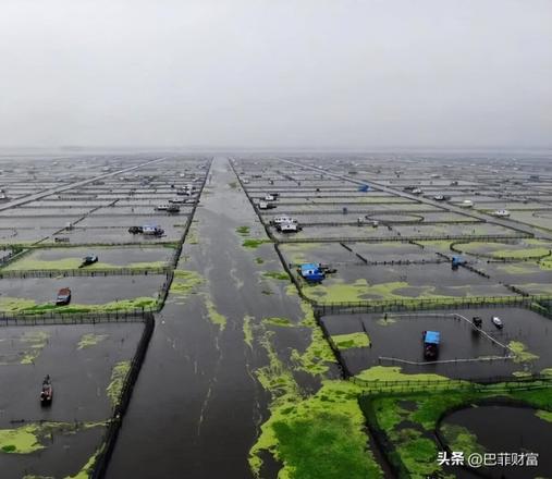 阳澄湖大闸蟹养殖赚钱吗（阳澄湖大闸蟹深受友友喜爱原因）