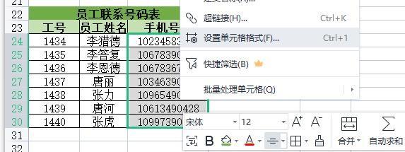 excel电话号码隐藏4位怎么操作（隐藏中间四位的3种简单实用的方法）