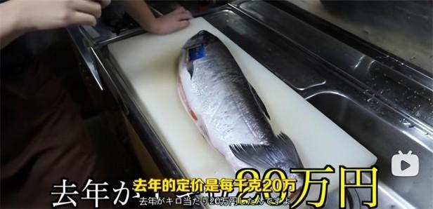 目前世界上最贵的海鲜是什么？最贵的5大海鲜一公斤鱼肉卖20万