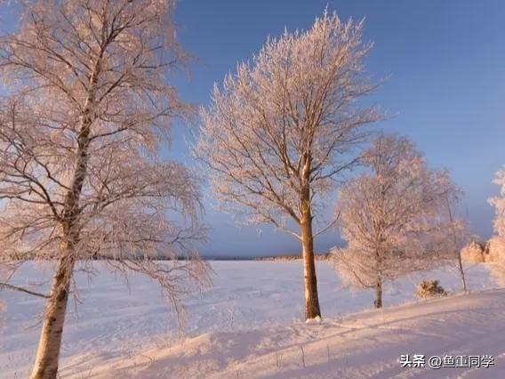 农历十一月二十三是什么日子？冬月廿三满天红午后定要起狂风