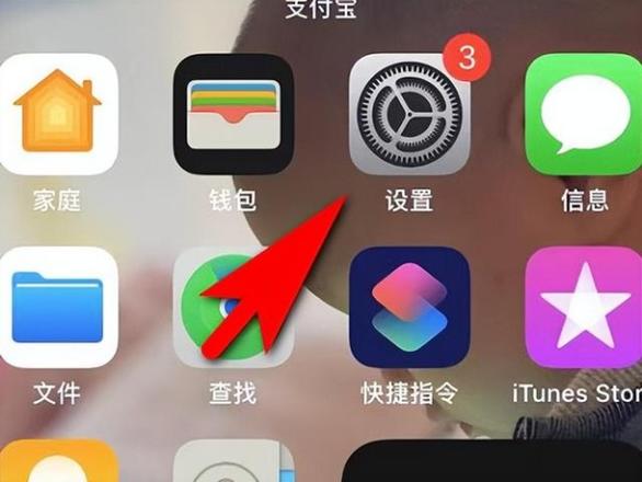 苹果手机怎么查序列号（快速查询苹果手机序列号的3种方法）(2)