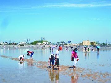 天津看海去哪里最好玩（天津旅游最全看海攻略）