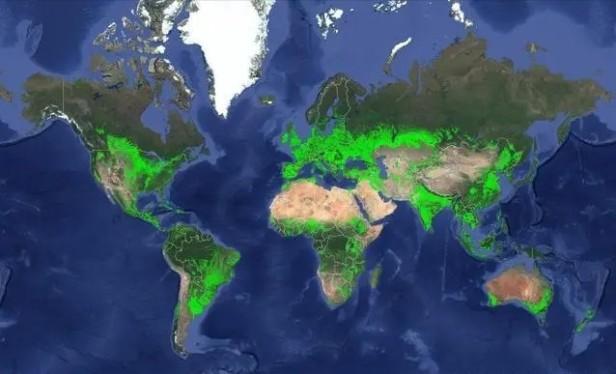 世界耕地面积最大的国家是哪个？世界耕地主要分布地区介绍
