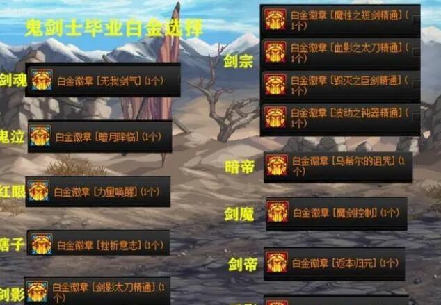 DNF2024全职业角色毕业白金徽章一览