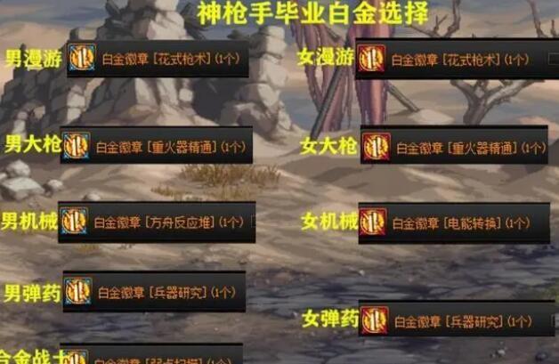 DNF2024全职业角色毕业白金徽章一览