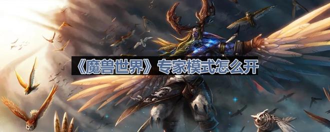 《魔兽世界》专家模式开启方法