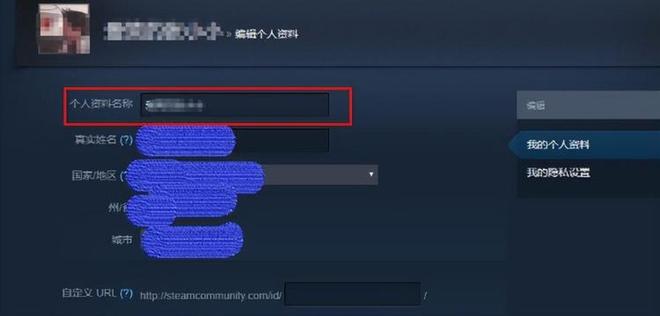 csgo怎么改名字（手把手教你改）