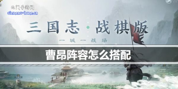 三国志战棋版曹昂阵容怎么搭配