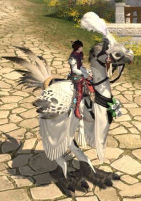 ff14双人坐骑有哪些，ff14双人坐骑介绍