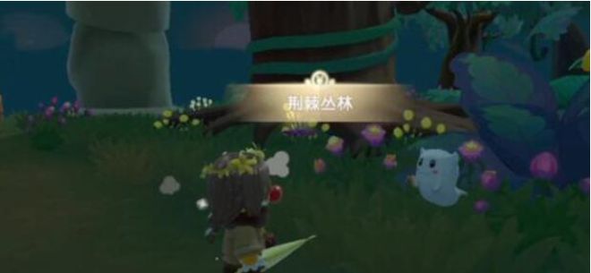 摩尔庄园洗练果实怎么获得（分享洗练果实获取方法）