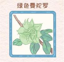 花店物语花种怎么获得 花种获取攻略