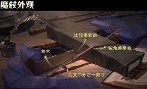 哈利波特魔法觉醒魔杖是随机的吗 魔杖选择规则