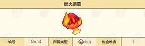 诺弗兰物语燃火蘑菇怎么做 完美配方研发攻略