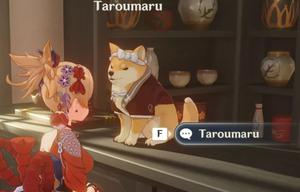 原神太郎丸taroumaru在哪？新NPC太郎丸taroumaru位置坐标一览