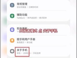 三星手机开发者选项在哪