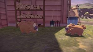 《宝可梦传说阿尔宙斯》顽皮的大牙狸任务攻略流程分享
