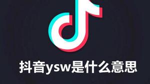 抖音ysw含义解析