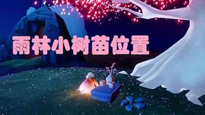 光遇雨林小树苗位置介绍