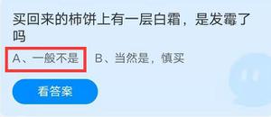 买回来的柿饼上有一层白霜是发霉了