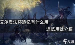《艾尔登法环》追忆用处介绍 追忆有什么用？